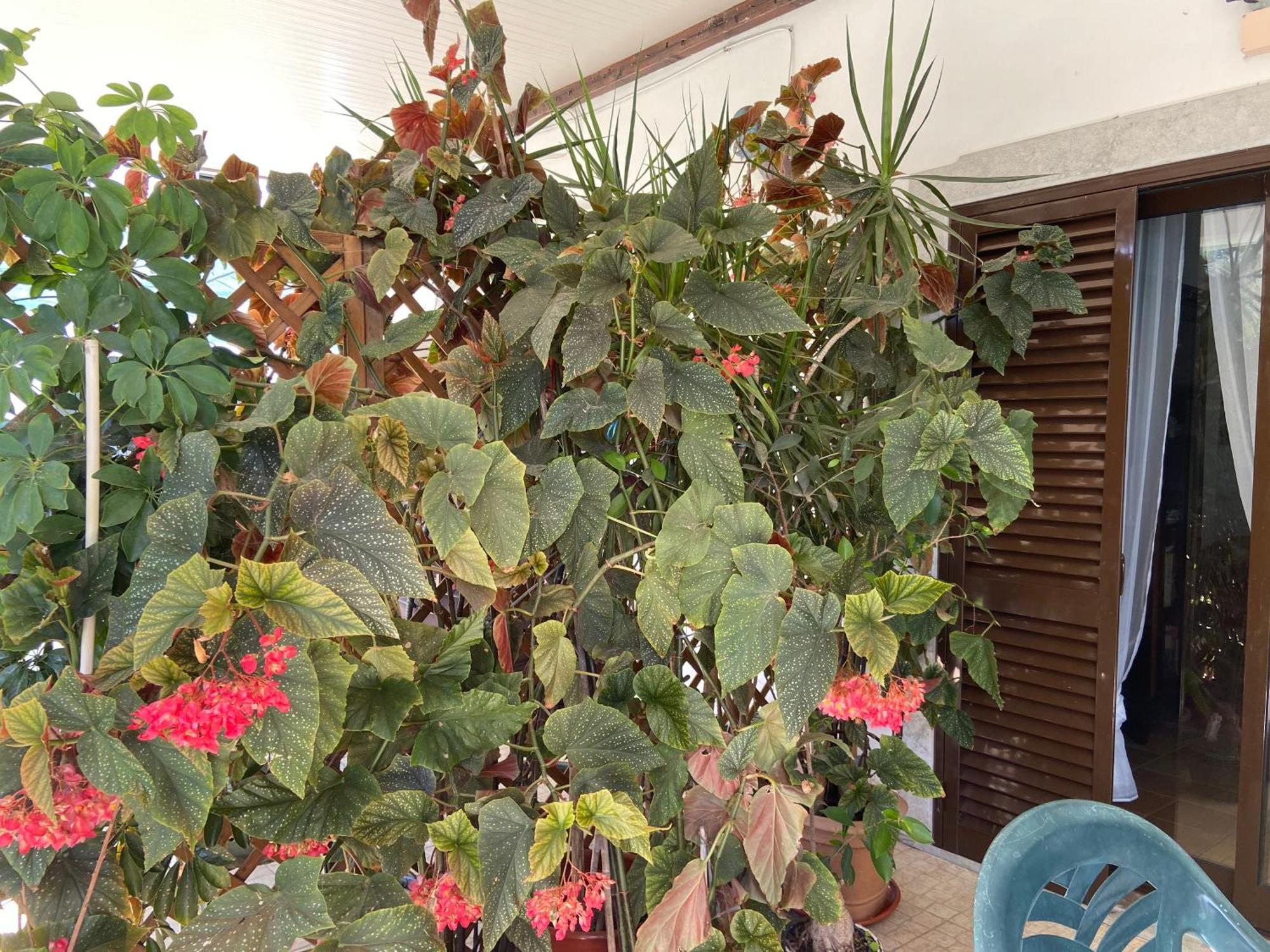 A Casa Da Maria Βίλα Luz de Tavira Εξωτερικό φωτογραφία